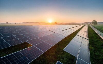 Comment les panneaux solaires transforment les rayons en énergie renouvelable